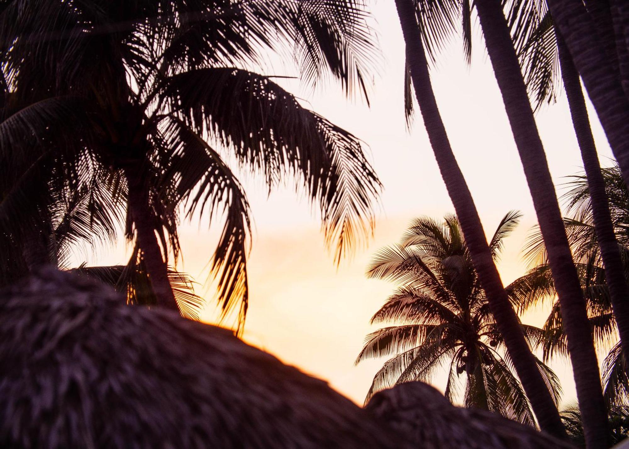 Almare Zonte - Beachfront Glamping Hotel El Zonte Buitenkant foto